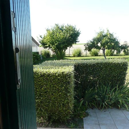 Vila L'Haubette Courtisols Exteriér fotografie