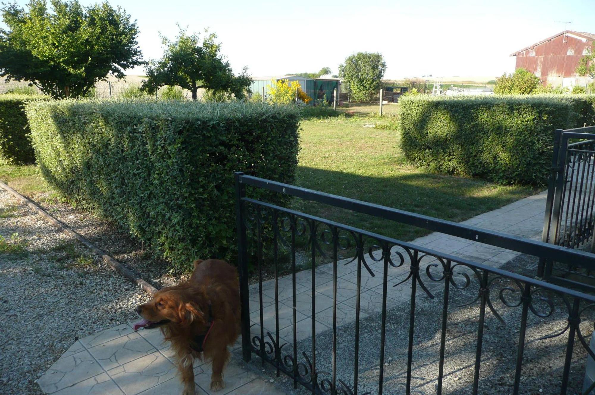 Vila L'Haubette Courtisols Exteriér fotografie